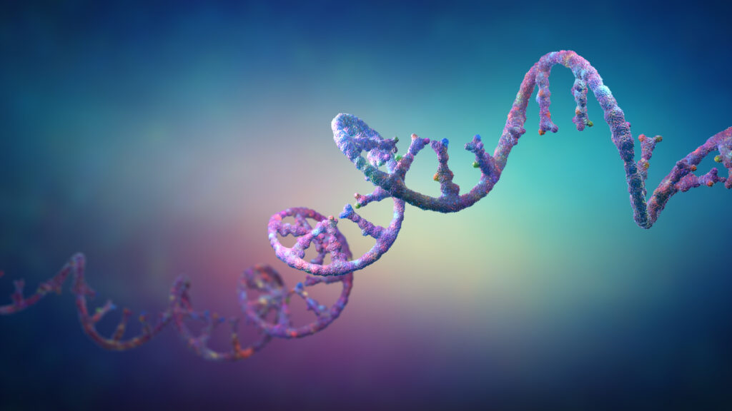 RNA