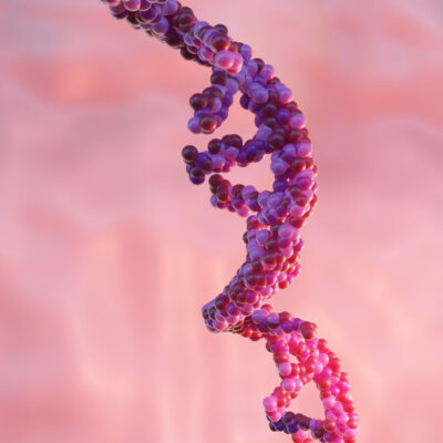 mrna production