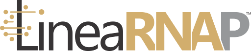 LineaRNAP