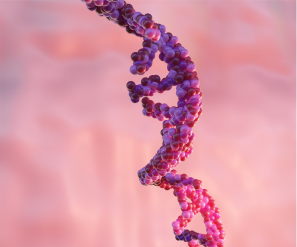 MRNA IVT